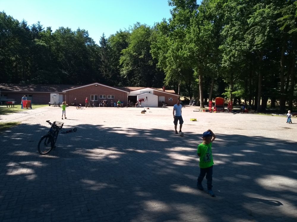 IMG_20190629_102942920_1000