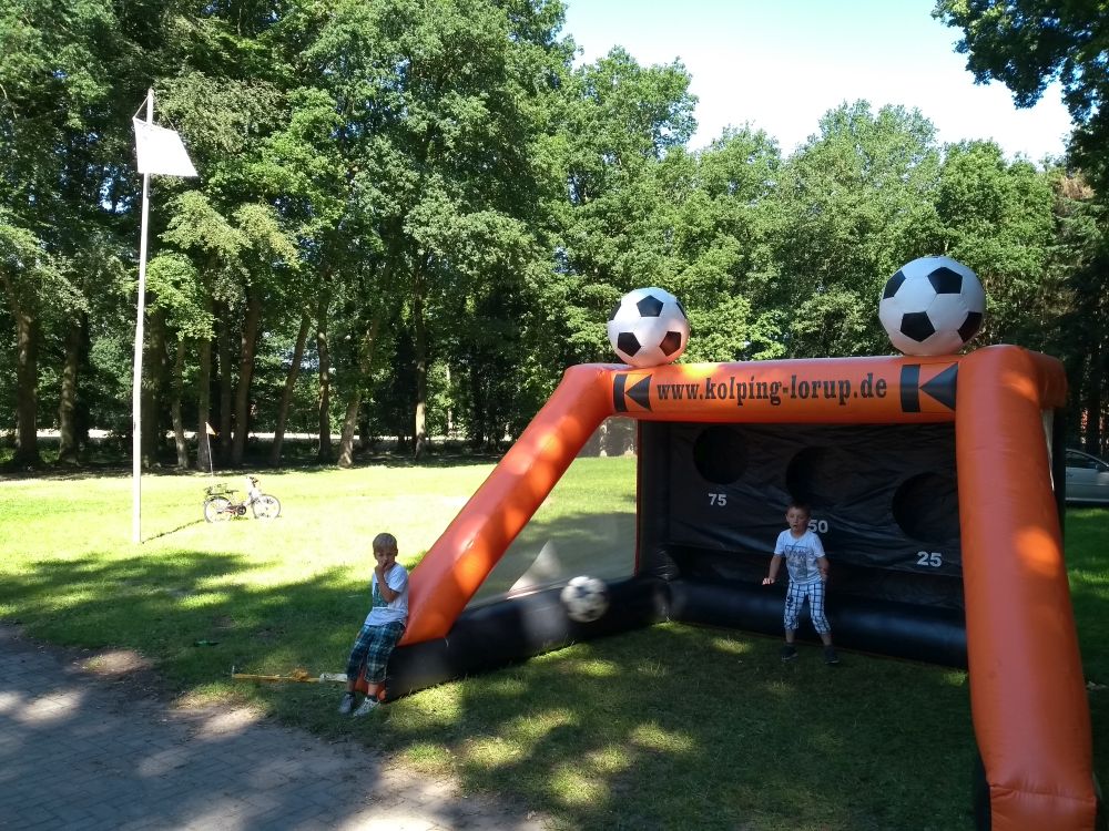 IMG_20190629_103022985_1000