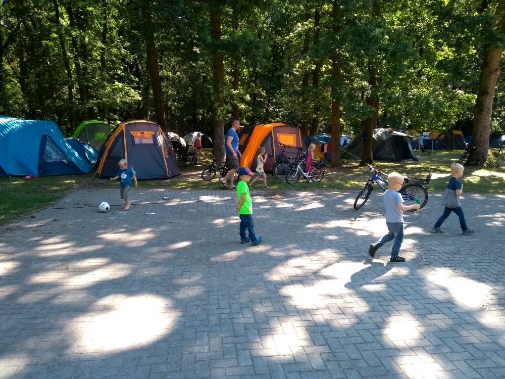 IMG_20190629_103326266_1000